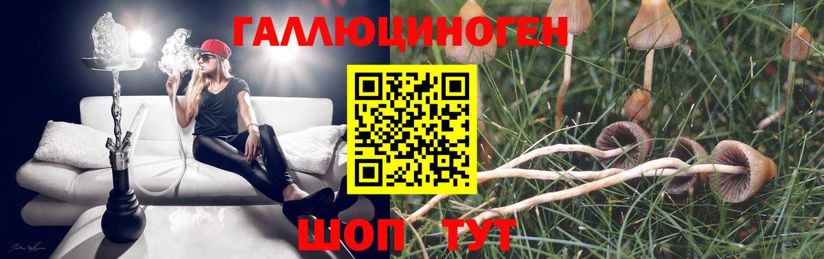 Галлюциногенные грибы Magic Shrooms  Псилоцибиновые грибы Psilocybine cubensis  Вход с VPN  Курск 